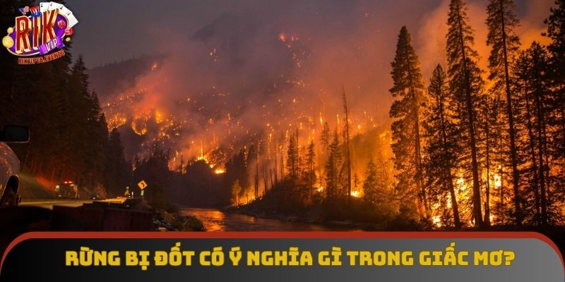 Hình ảnh này cho thấy sức sáng tạo của bạn đang bị kiềm toả Hình ảnh này cho thấy sức sáng tạo của bạn đang bị kiềm toả